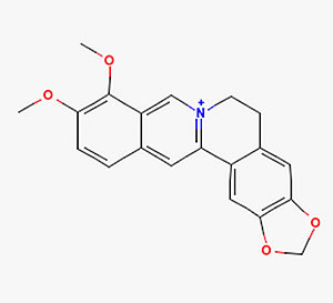 berberine