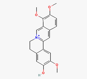 jatrorrhizine