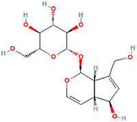 aucubin from Plantago: antimicrobial, anti-inflammatory, and spasmolytic